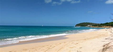 nude beaches antigua|Information on Eden Beach and naturist travel to Antigua